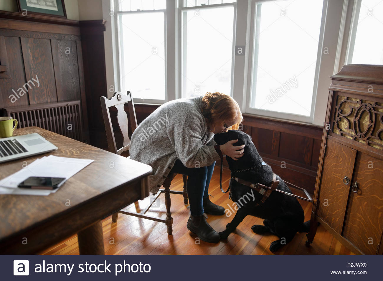 Affectionate woman kissing seeing eye dog Stock Photo