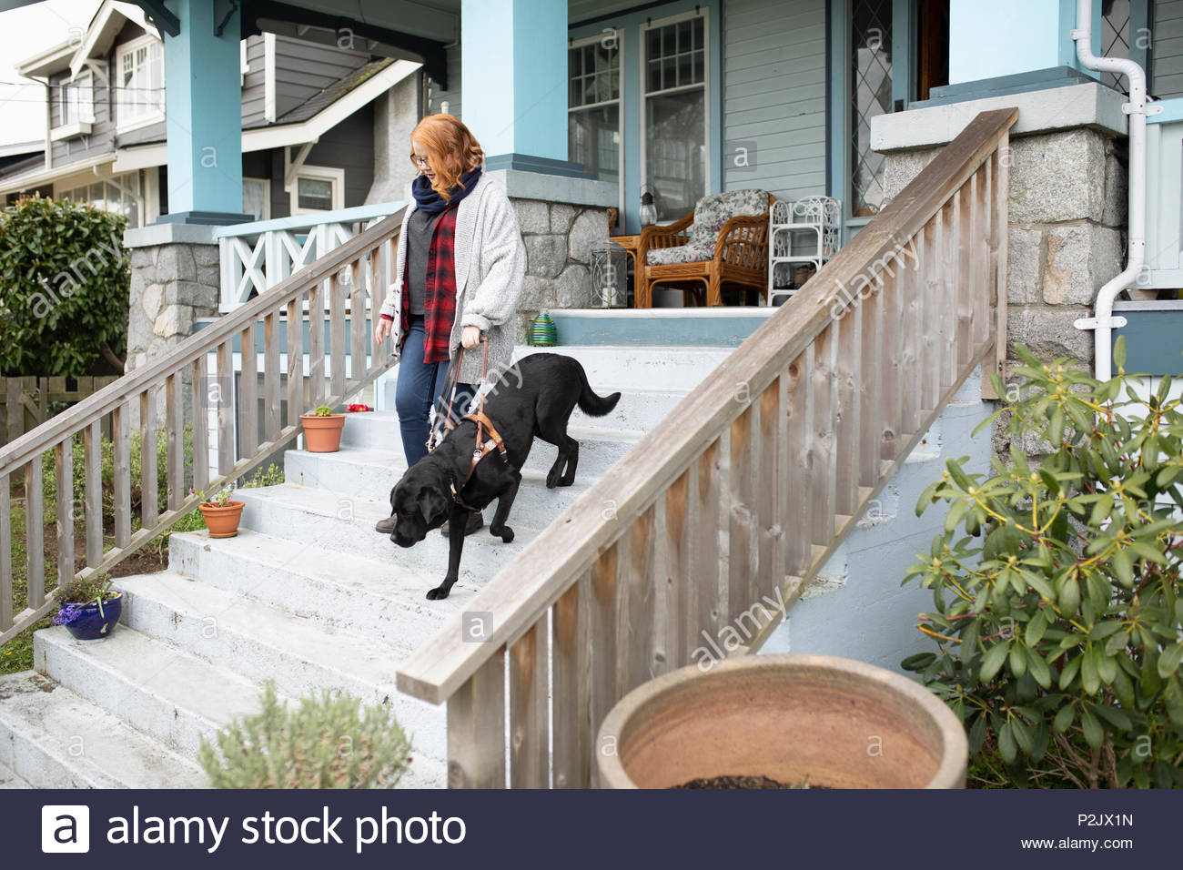 Seeing eye dog leading visually impaired woman down stairs Stock Photo