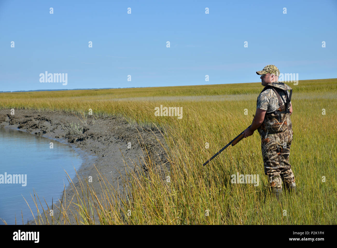 Duck hunter class hires stock photography and images Alamy