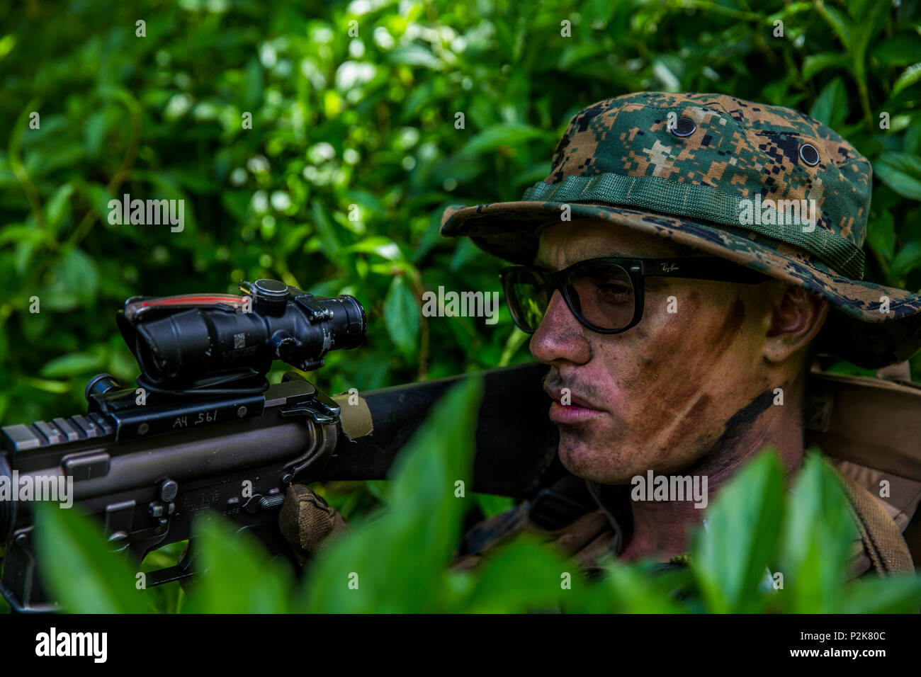 Ryan Otoole High Resolution Stock Photography and Images - Alamy