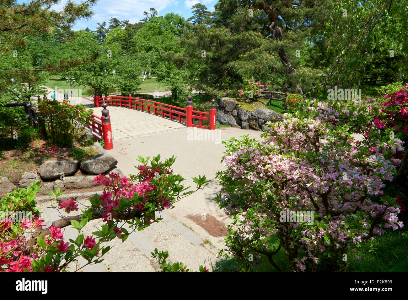 High angle shot of Takaokahashi Bridge framed by flowers and greenery in Hirosaki Park, Hirosaki, Japan. Stock Photo