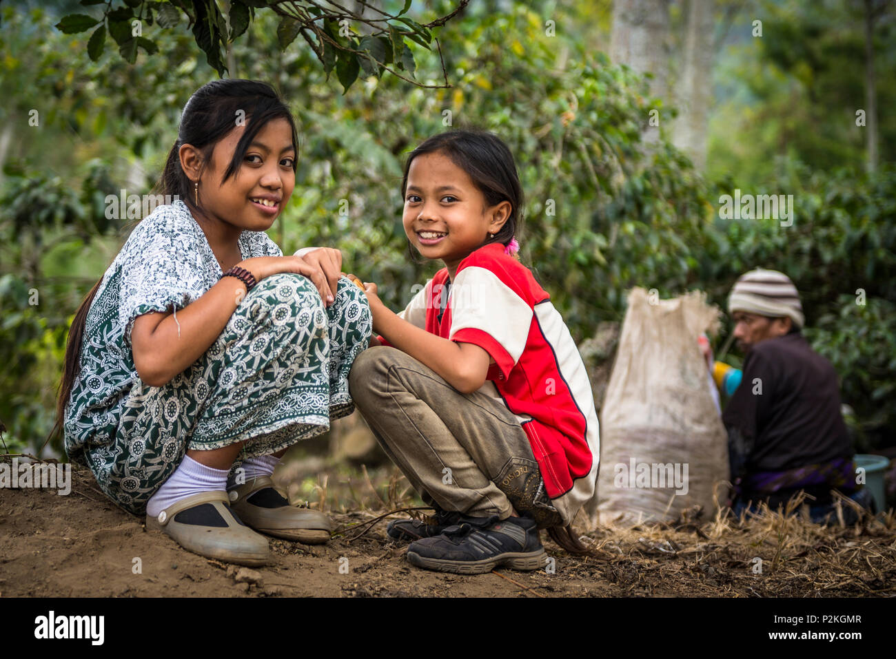 Smiling Indonesian children on a coffee plantation - Indonesia, Java Stock Photo