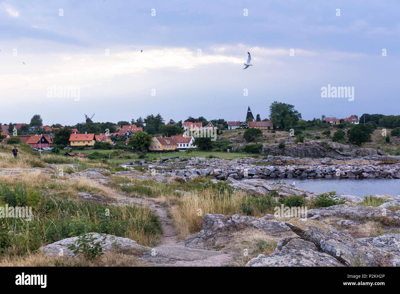 Sea gull flying over the bay, rocky beach, Baltic sea, Bornholm, Svaneke, Denmark, Europe Stock Photo