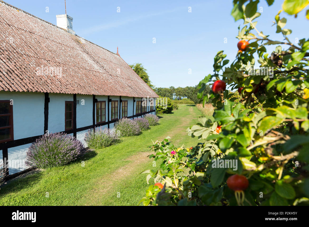 Farm house, half-timbered house, summer cottage, Baltic sea, Bornholm, near Balka Beach, near Snogebaek, Denmark, Europe Stock Photo