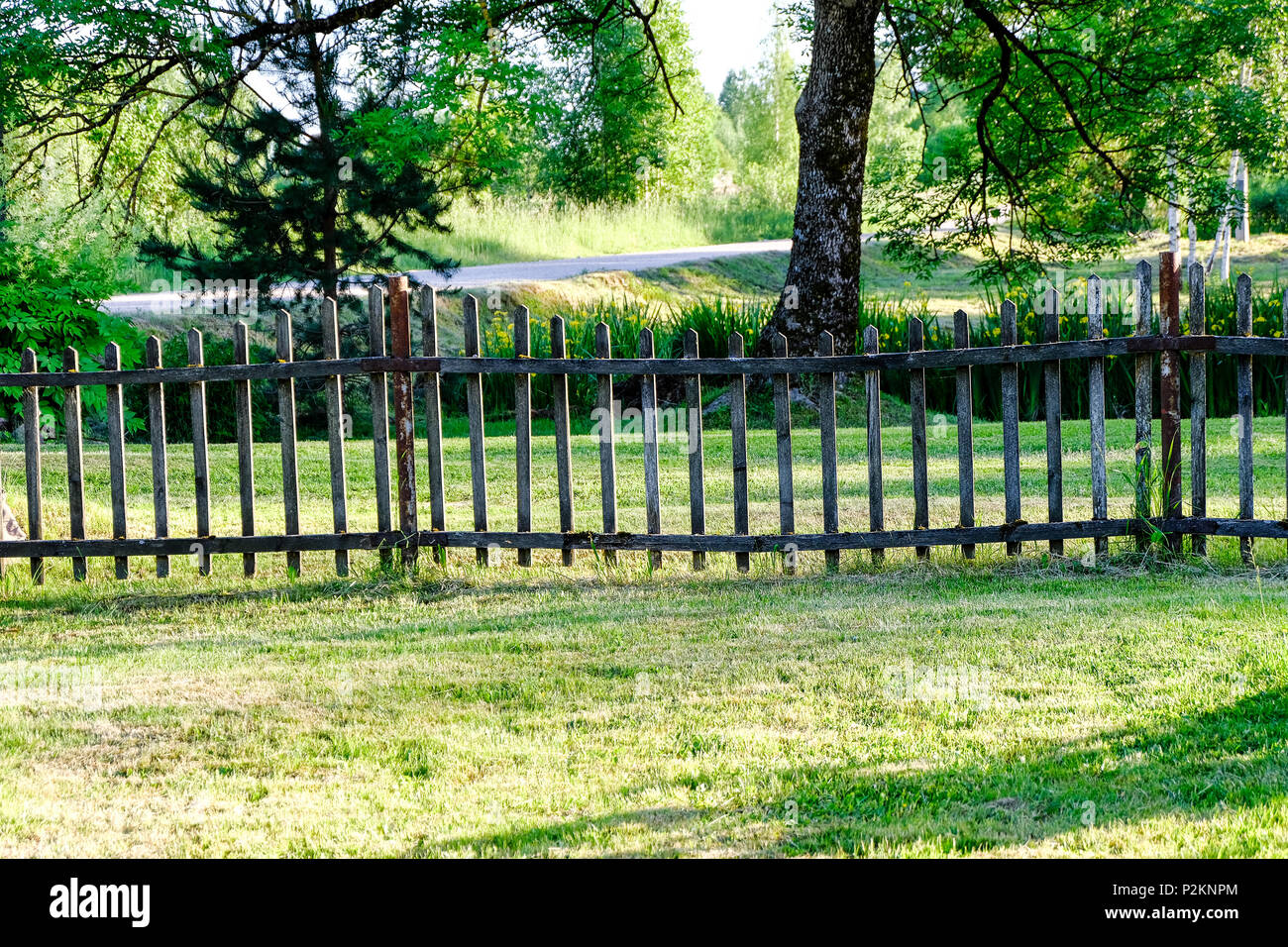 early morning in the countryside garden with old wooden fence and sun ...