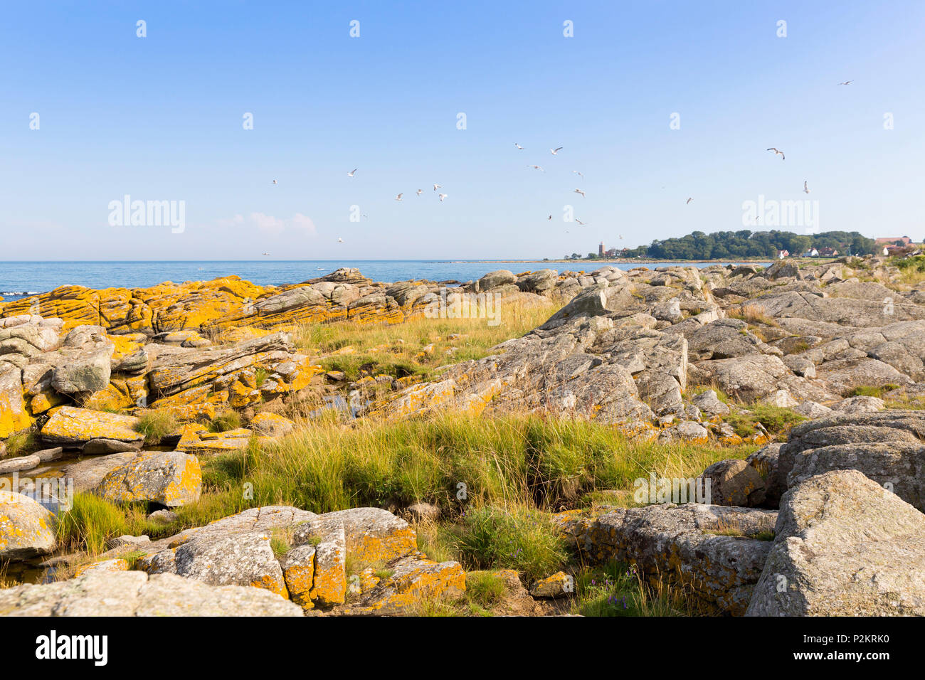 lighthouse of Svaneke with sea gulls, Rocky shore, Summer, Baltic sea, Bornholm, Svaneke, Denmark, Europe Stock Photo