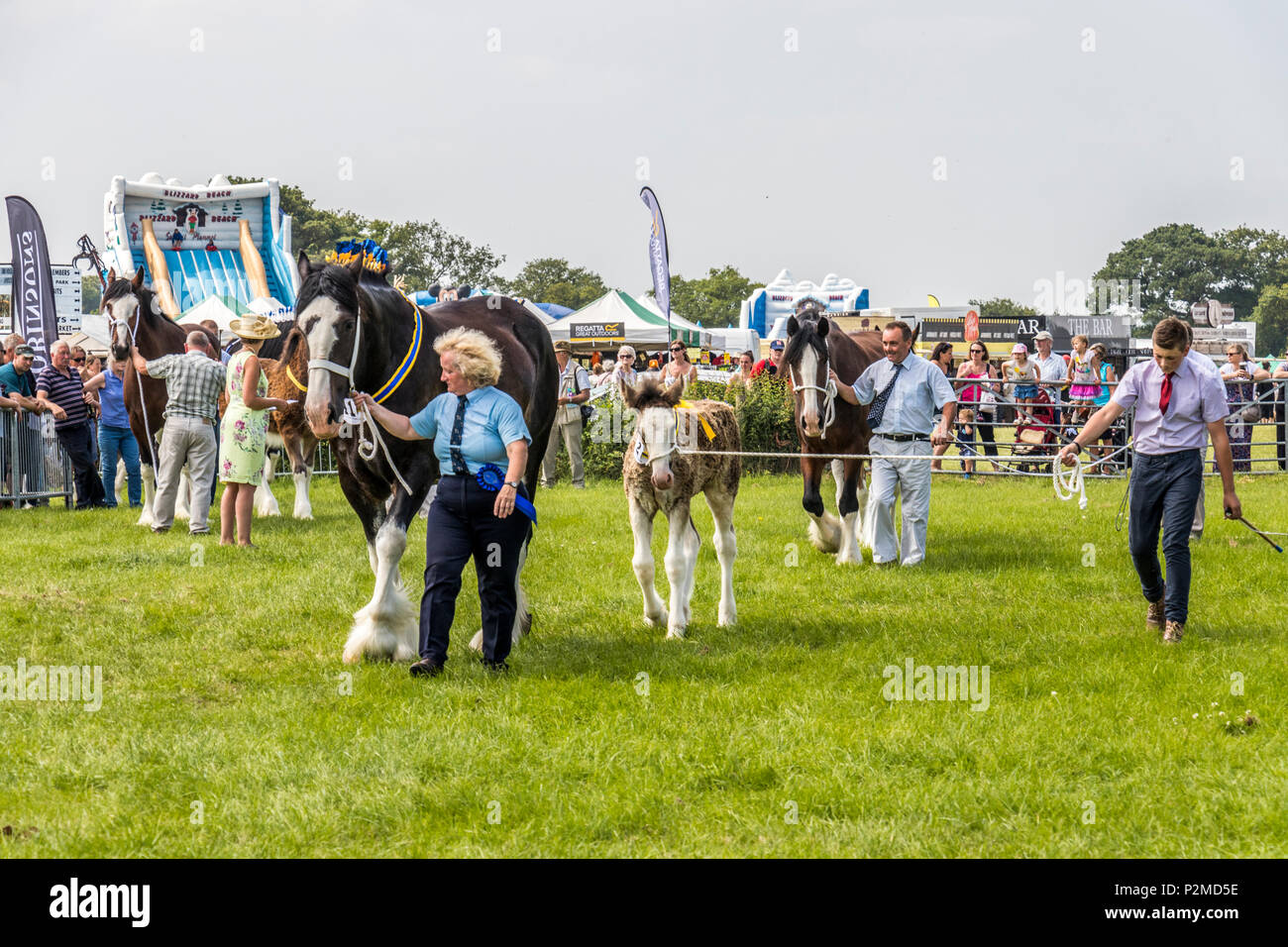 Royal Cheshire Show 2017 Stock Photo - Alamy