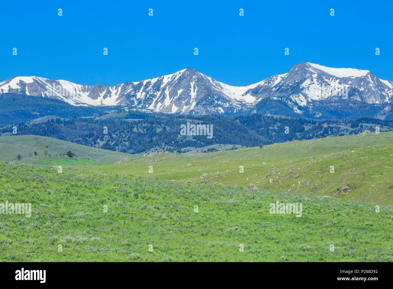 Spring over the Madison Valley - McAllister-Ennis MT (OE) – Montana  Panoramic Gallery