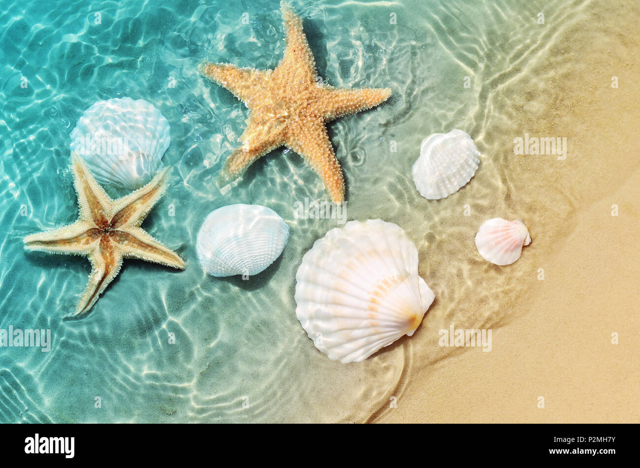 Starfish and seashell on the summer beach in sea water. Summer background.  Summer time Stock Photo - Alamy