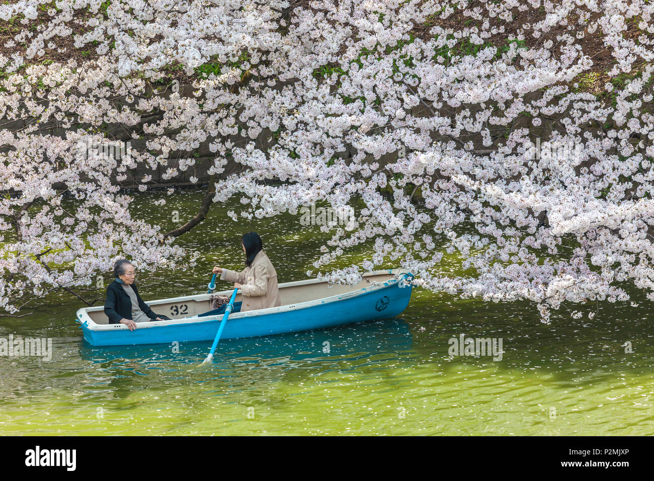 Young and old lady with boat at Chidori-ga-fuchi enjoying cherry blossom in spring, Chiyoda-ku, Tokyo, Japan Stock Photo