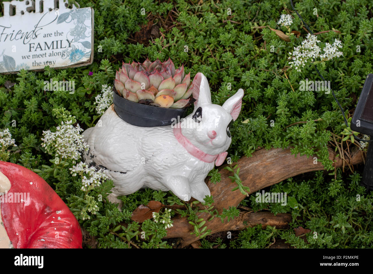 Whimsical Garden Art Decoration Rabbit Or Bunny Planter With Succulent Stock Photo Alamy Whimsical Garden Art Decoration Rabbit Or Bunny Planter With Succulent Stock Photo Alamy