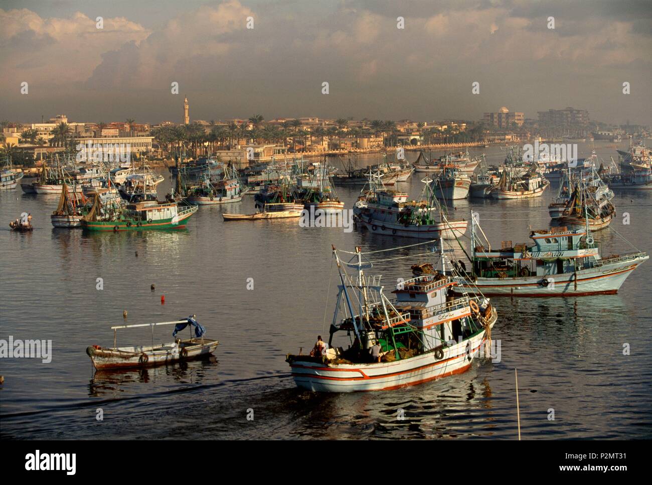 Damietta hires stock photography and images Alamy