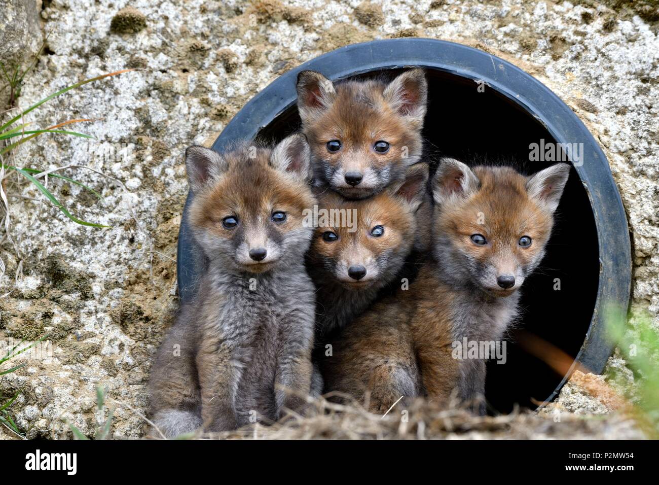 france red zone stock photos france red zone stock images alamy