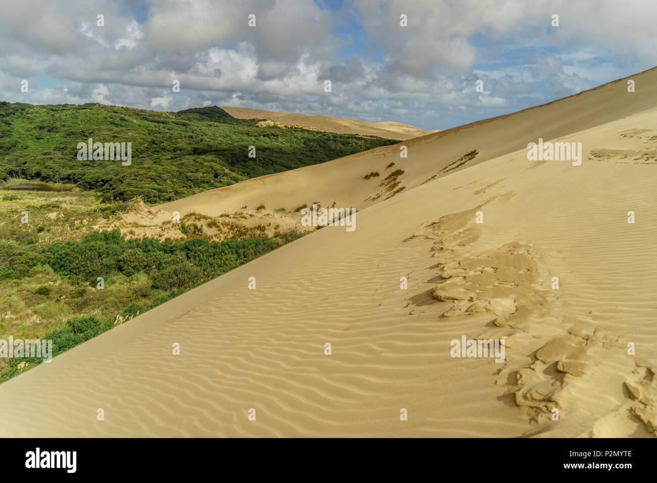 Sand Dunes New Zealand High Resolution Stock Photography and Images - Alamy