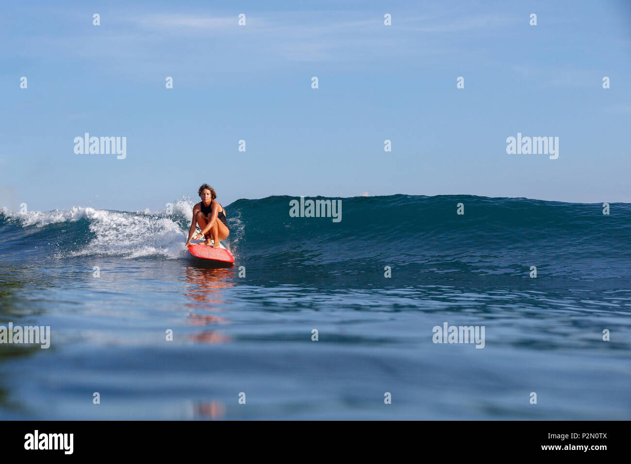 young female surfer riding wave on surfboard Stock Photo - Alamy