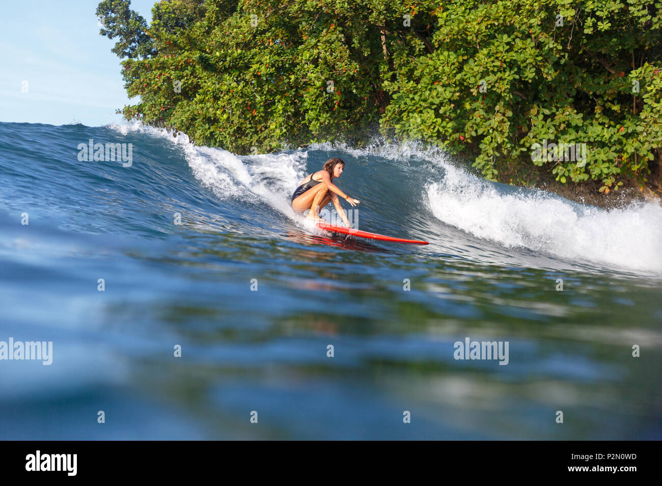 sporty surfer riding wave on surfboard in ocean Stock Photo Alamy