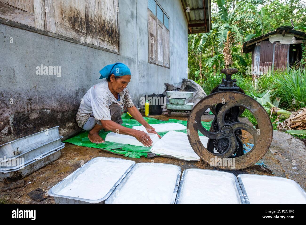 Thailand, Trang province, Ko Sukorn island, the local population lives mainly from rubber cultivation, rubber processing by hand Stock Photo