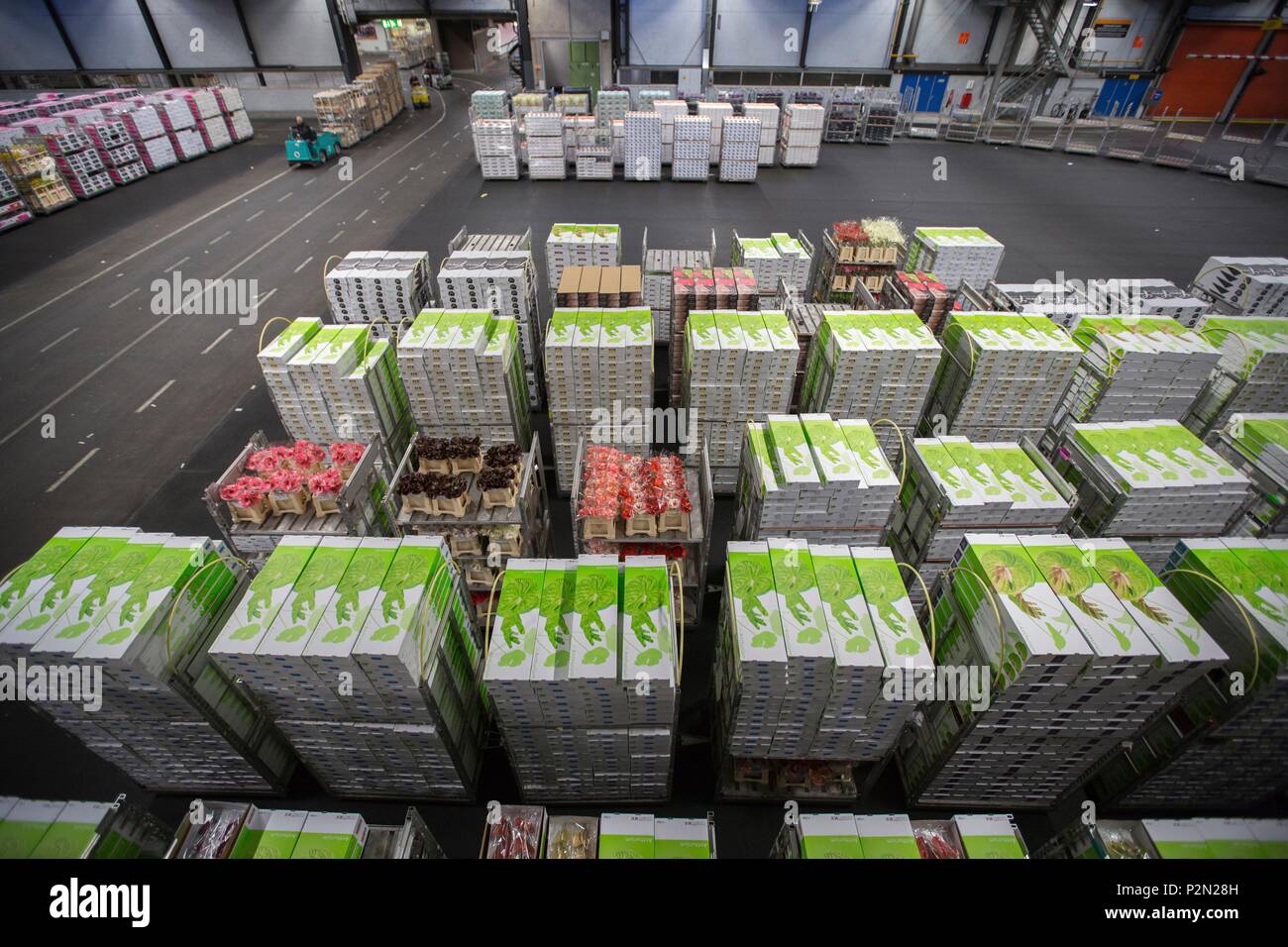 Netherlands, Northern Holland province, Aalsmeer, largest flower market in the world (Bloemenveiling), flower sales at auction and flower market Stock Photo