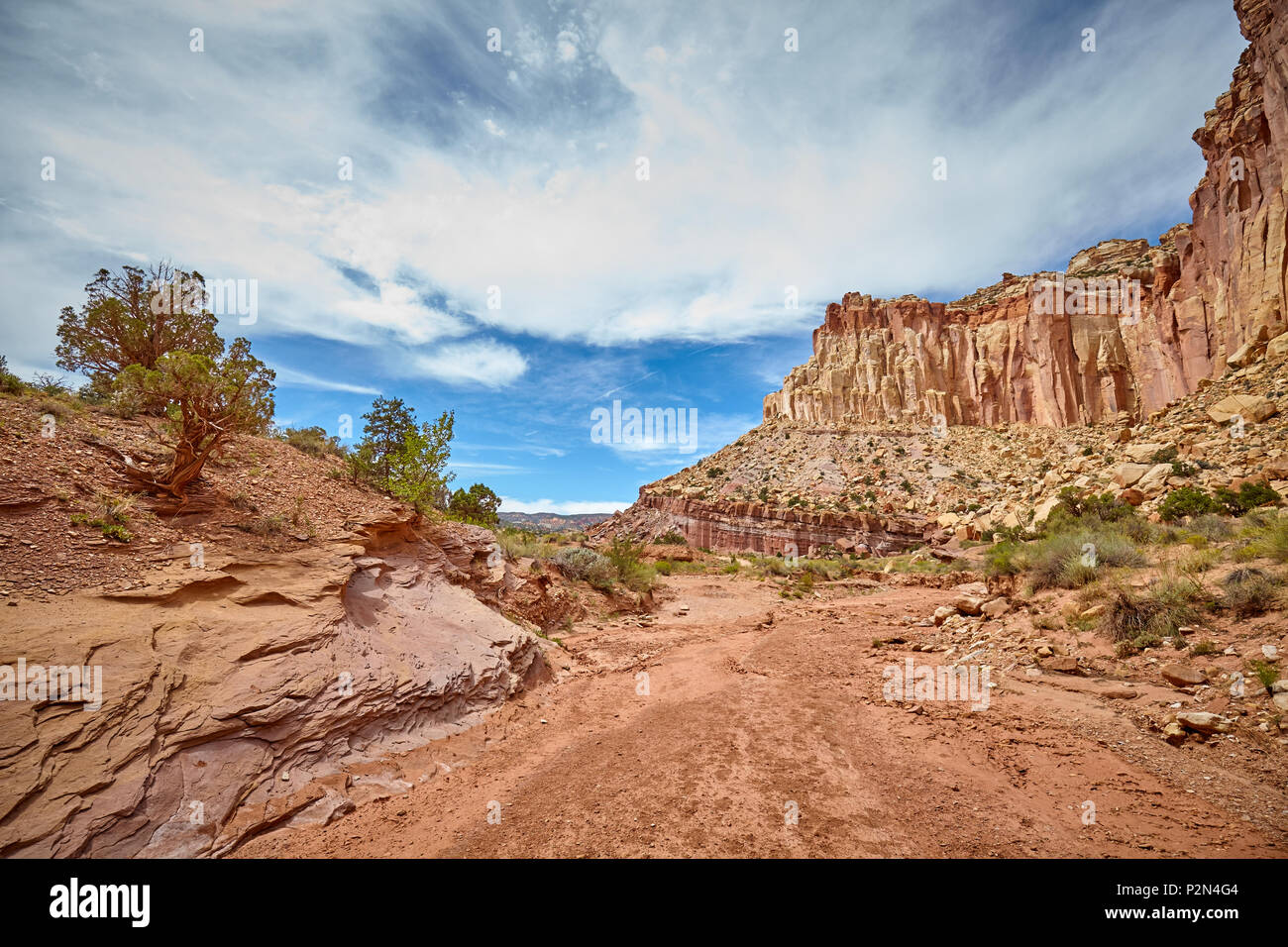 Dried up river bed in the Capitol Reef National Park, Utah, USA. Stock Photo