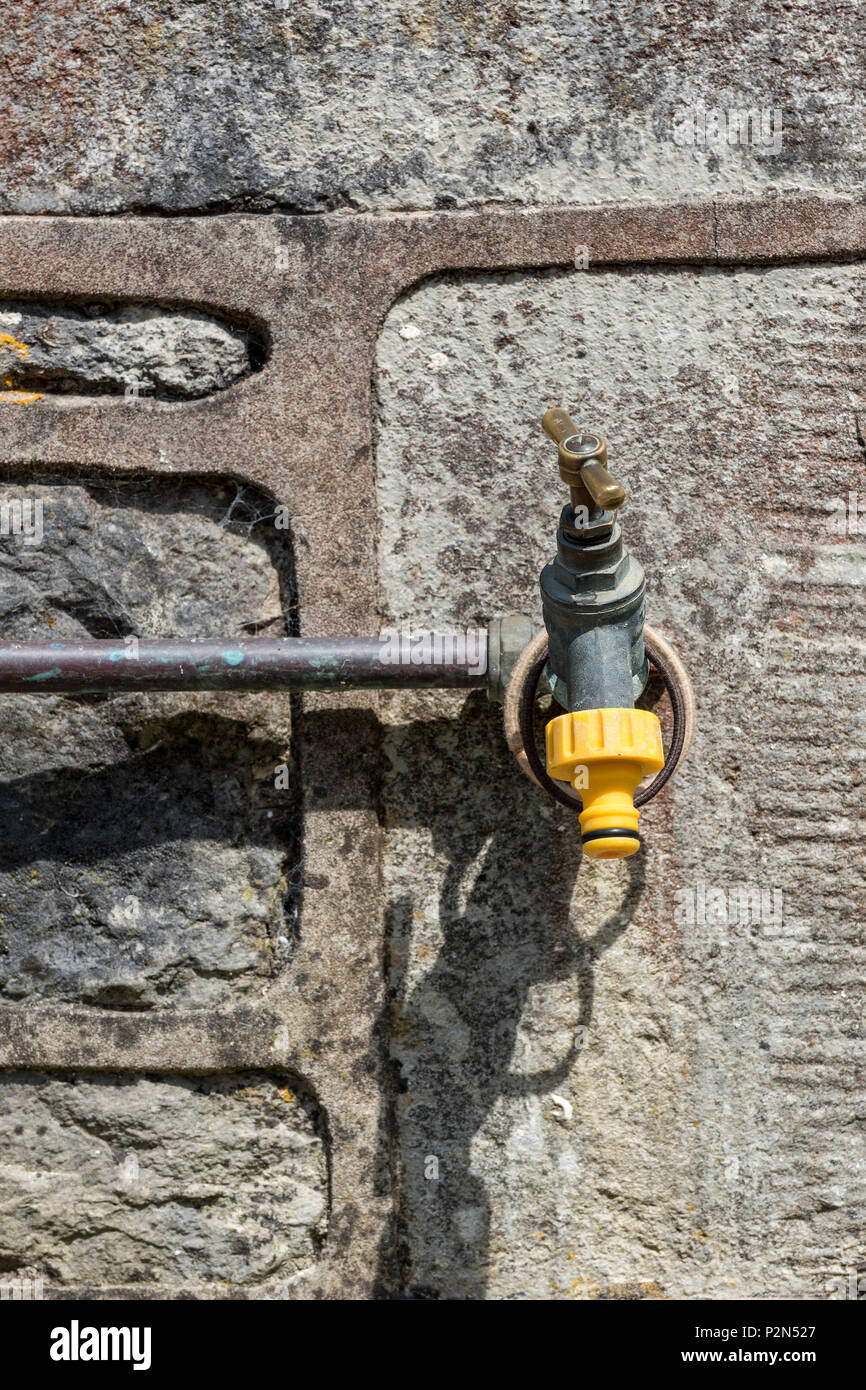an old fashioned brass tap for attaching a garden hosepipe for watering. Water supplies and gardening droughts and summer water shortages in garden. Stock Photo