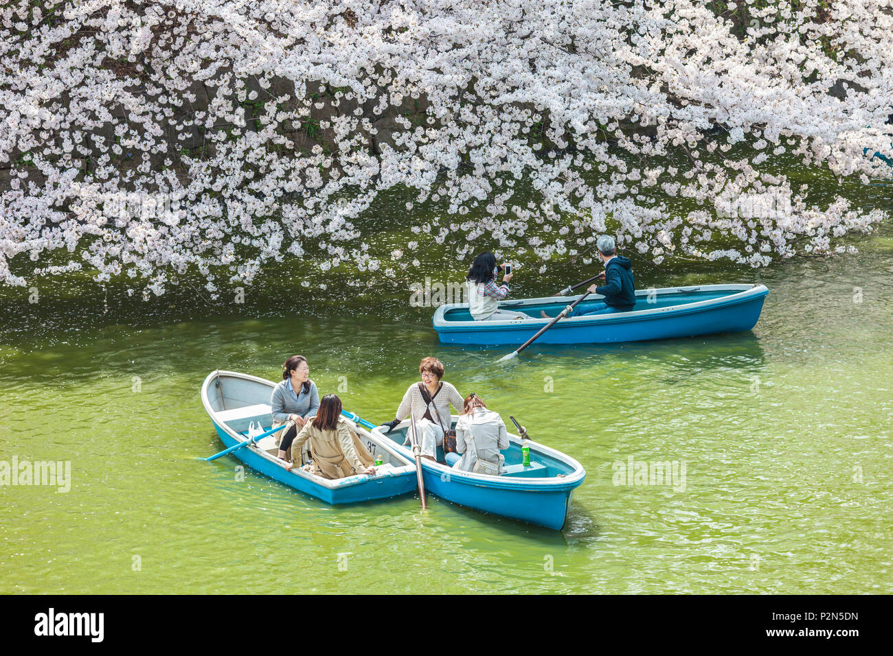 Friends with boats at Chidori-ga-fuchi enjoying cherry blossom in spring, Chiyoda-ku, Tokyo, Japan Stock Photo