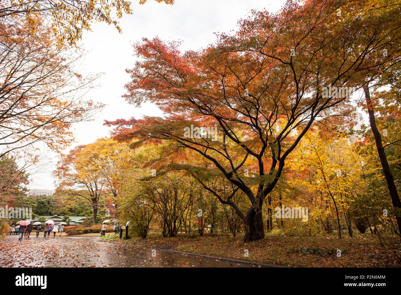 Entrance of Ni-No-Maru Garden of Imperial Palace in autumn, Chiyoda-ku, Tokyo, Japan Stock Photo