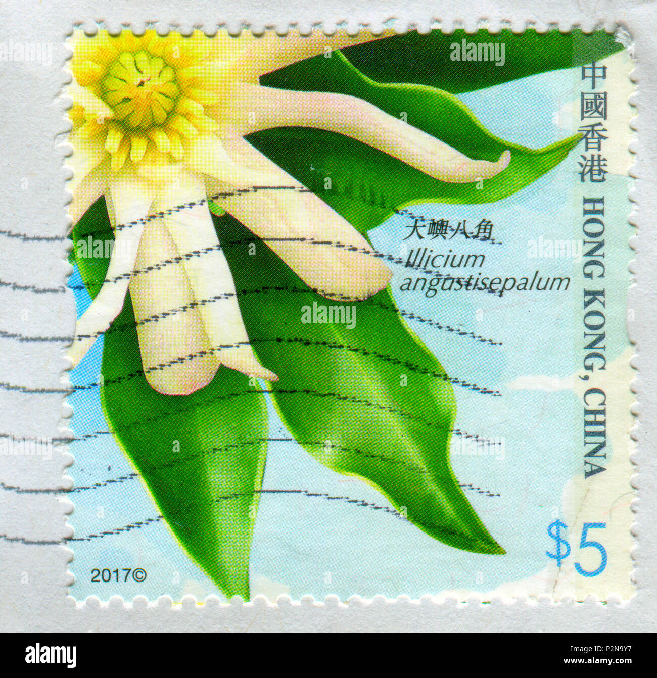 GOMEL, BELARUS, 19 NOVEMBER 2017, Stamp printed in HONG KONG, China shows image of the Illicium angustisepalum, circa 2017. Stock Photo