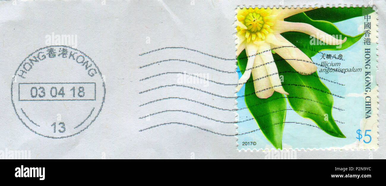 GOMEL, BELARUS, 19 NOVEMBER 2017, Stamp printed in HONG KONG, China shows image of the Illicium angustisepalum, circa 2017. Stock Photo