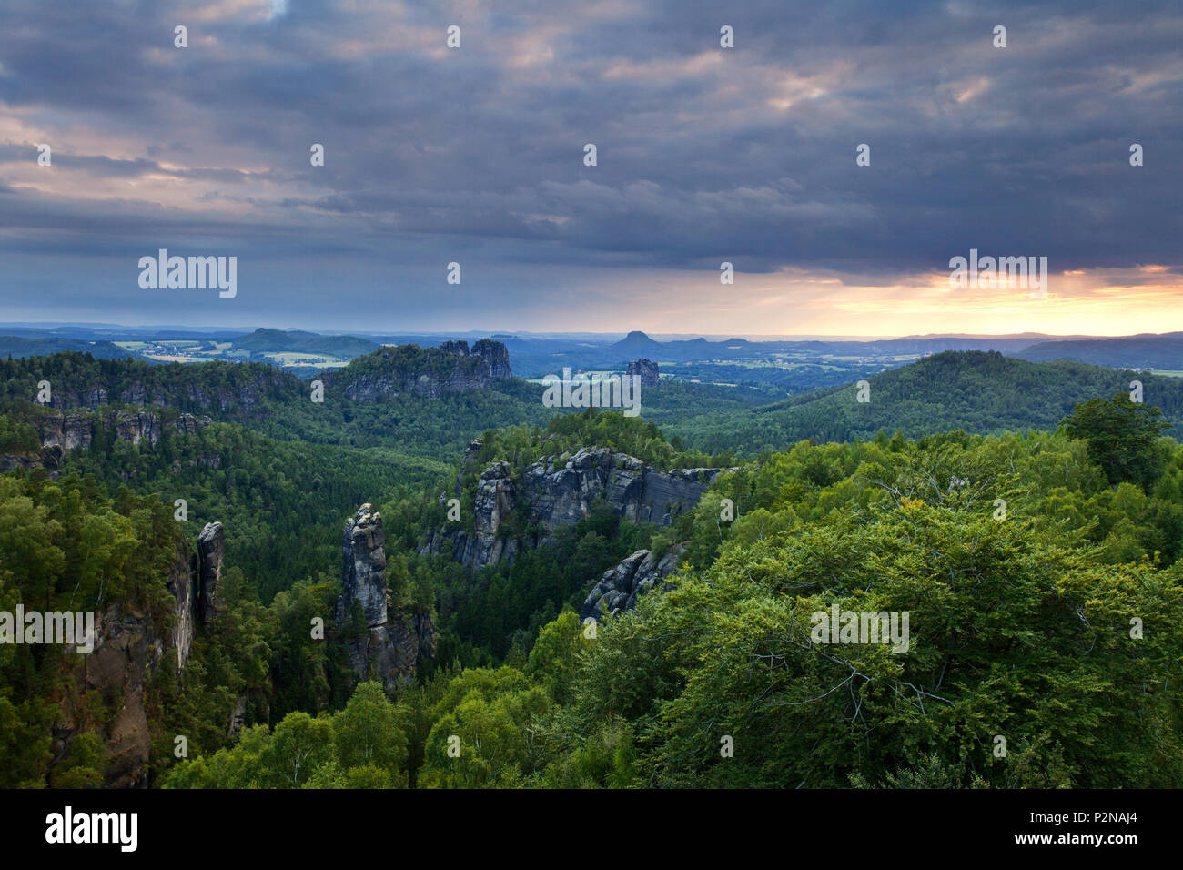 Sunset, Forest, Carolafelsen, National Park, Saxon Switzerland, Saxony, Germany Stock Photo