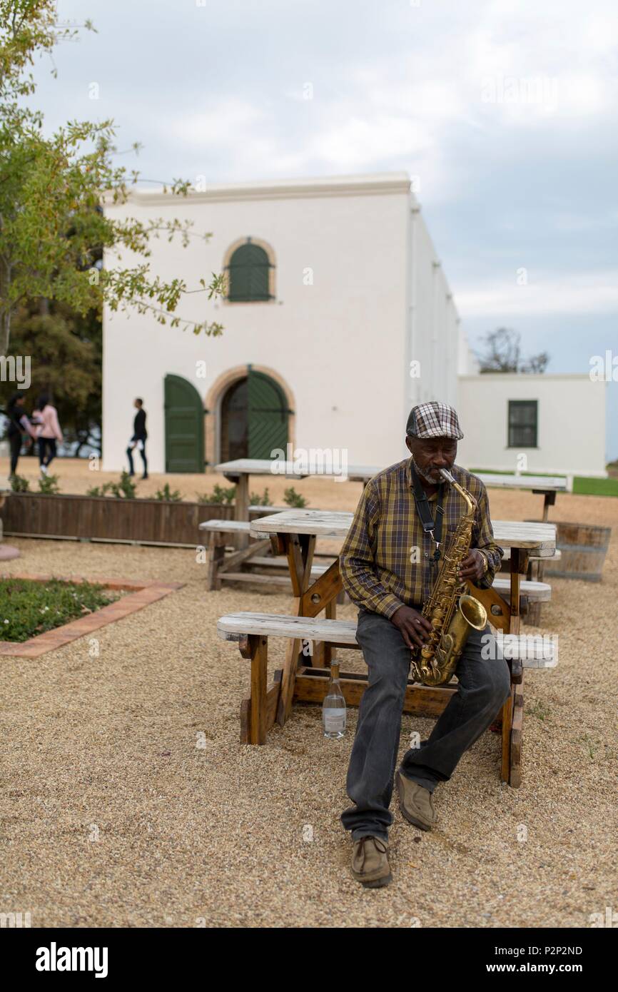 South Africa, Western Cape, Saxophone player in the vineyard of Groot