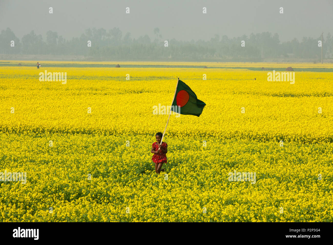 A Bangladeshi rural girl runs with Bangladeshi national flag through