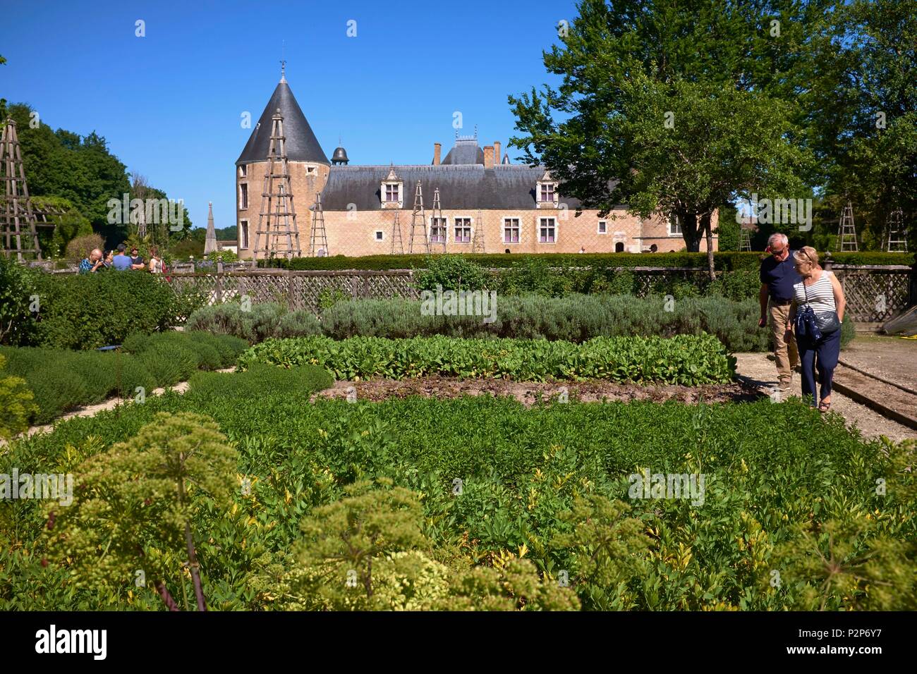 France, Loiret, Chilleurs aux Bois, chateau de Chamerolles, View of the west side from the gardens, Mandatory mention : Chateau de Chamerolles, property of Loiret department Stock Photo