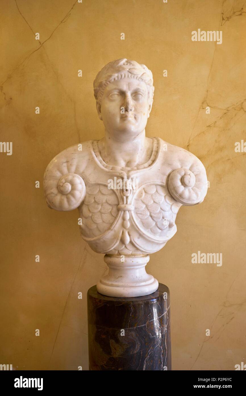 France, Loiret, Chilleurs aux Bois, chateau de Chamerolles, Antique bust in the hunting trophy room, Mandatory mention : Chateau de Chamerolles, property of Loiret department Stock Photo