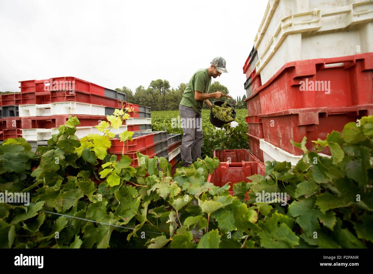 Hermitage estate hires stock photography and images Alamy