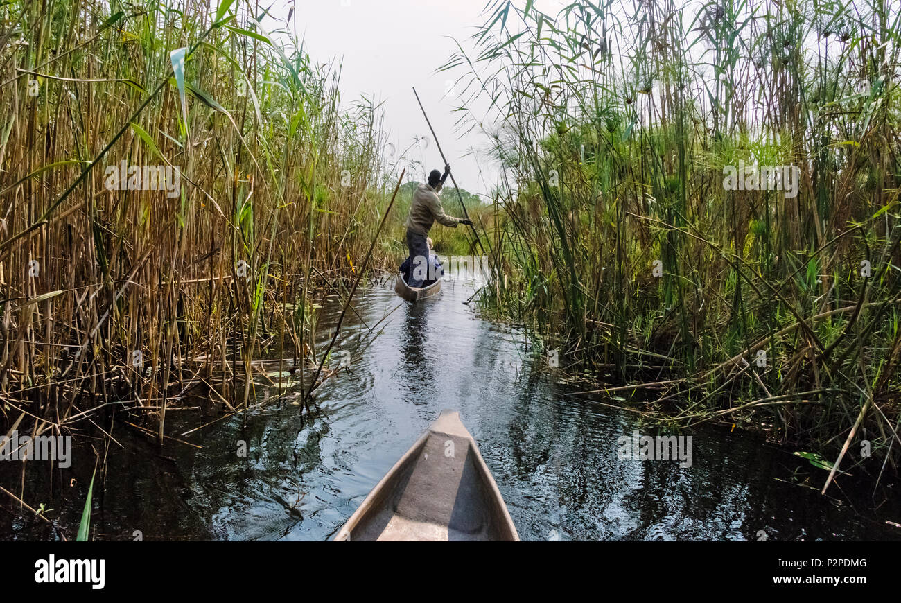 Rowing traditional Mokoro (dugout canoe) on Okavango Delta, North-West District, Botswana Stock Photo