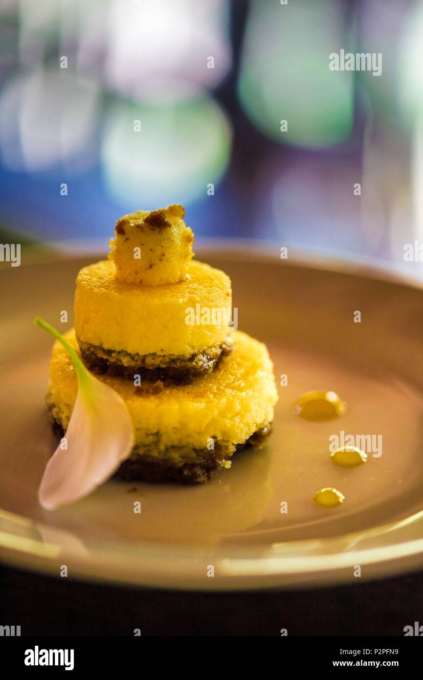 France, French Guiana, Kourou, Wapa Lodge, Gourmet dessert prepared by a chef, without running water or electricity Stock Photo