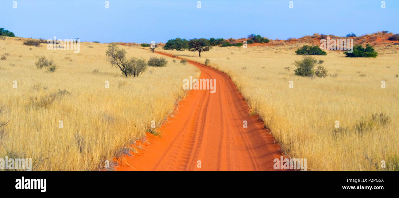 Red sand road, Kgalagadi Transfrontier Park, South Africa Stock Photo
