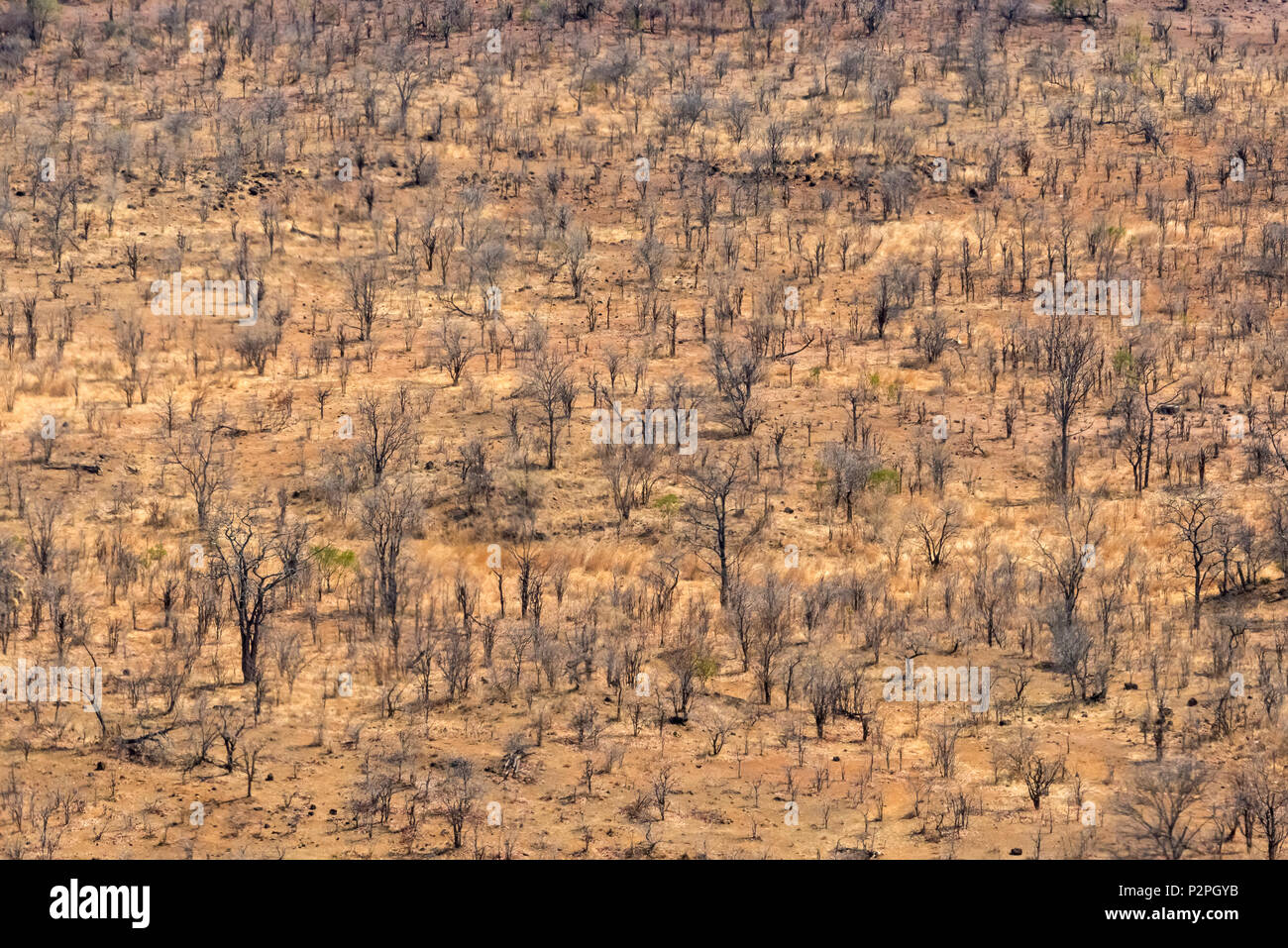 Aerial view of victoria falls hires stock photography and images Alamy