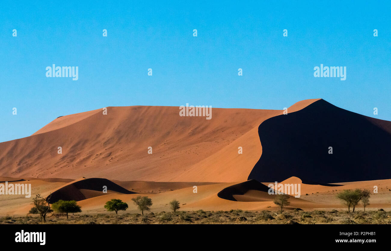 Sand dune 45 in southern Namib Desert, Sossusvlei, Namib-Naukluft National Park, Hardap Region, Namibia Stock Photo