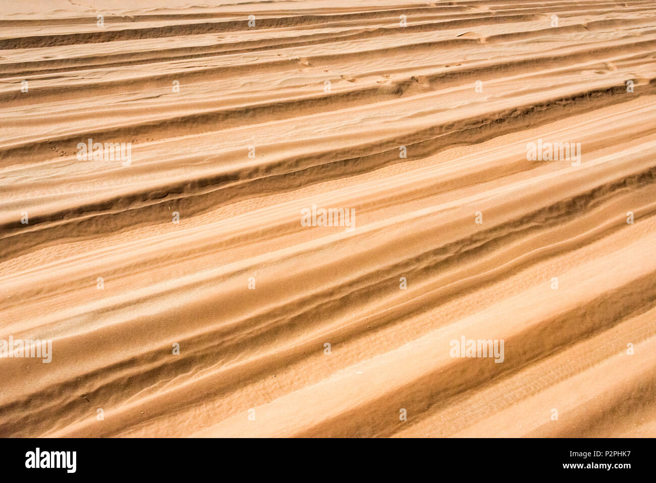 Red sand in southern Namib Desert, Sossusvlei, Namib-Naukluft National Park, Hardap Region, Namibia Stock Photo