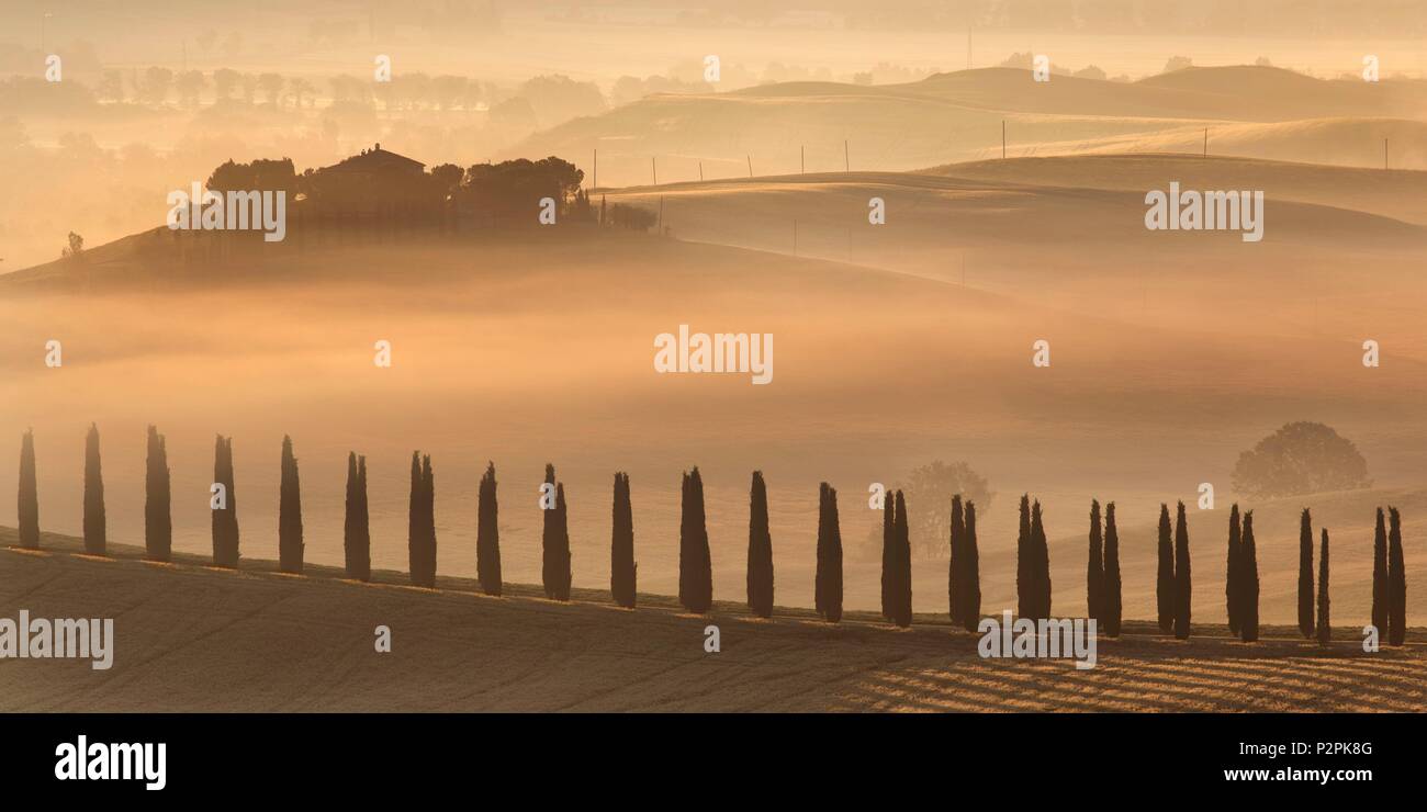 Italy, Tuscany, agricultural farm and its cypress alley in the fog, in the heart of Val d'Orcia listed as World Heritage by UNESCO Stock Photo