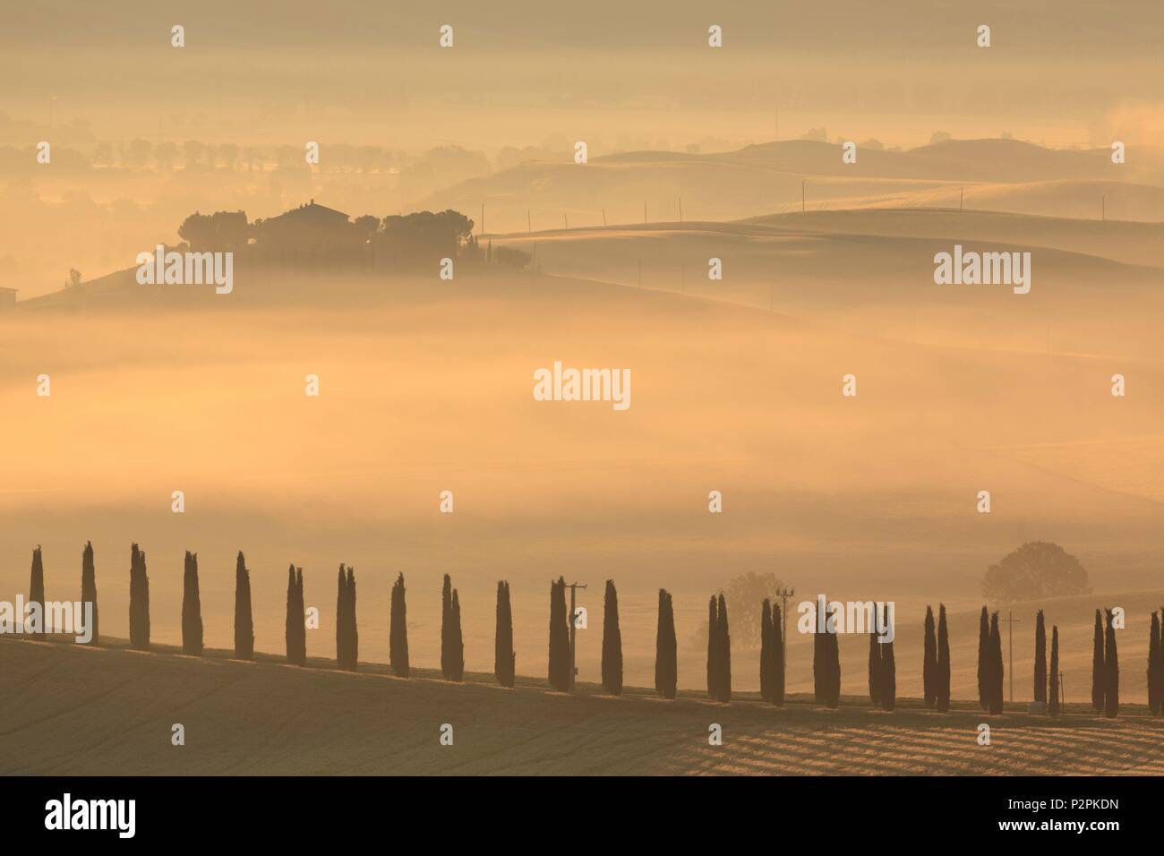 Italy, Tuscany, agricultural farm and its cypress alley in the fog, in the heart of Val d'Orcia listed as World Heritage by UNESCO Stock Photo
