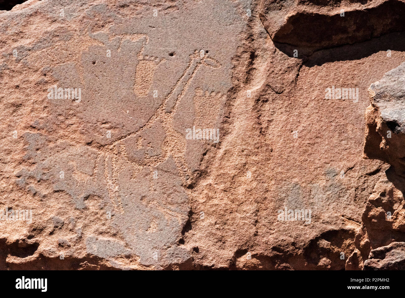 Bushman engravings at Twyfelfontein, UNESCO World Heritage site, Damaraland, Kuene Region, Namibia Stock Photo