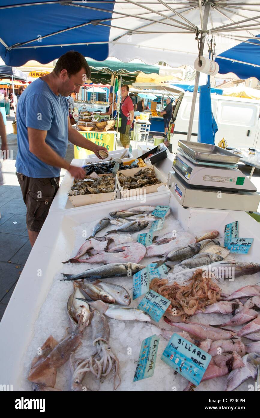 France, Herault, Grau d'Agde, market, fisherman and direct sales, Daniel  Hirailles compagny Stock Photo - Alamy