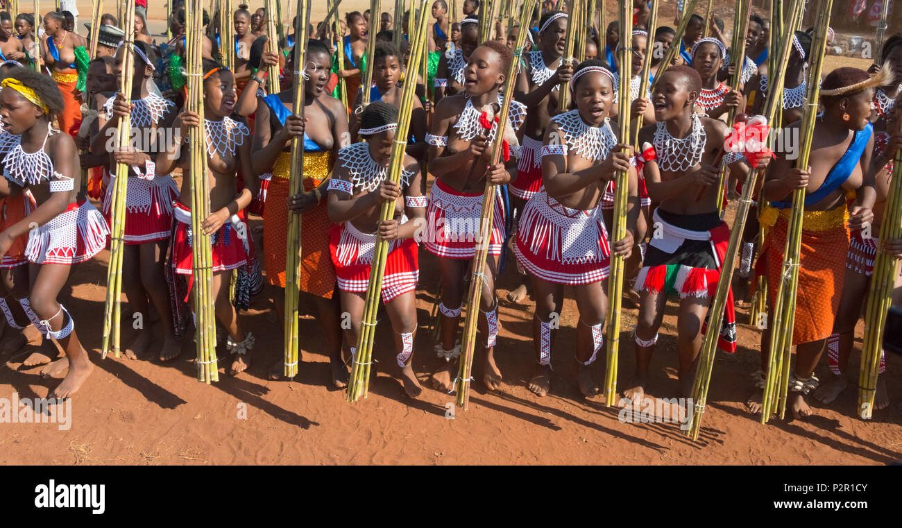 Swazi girls carrying reeds parade at Umhlanga (Reed Dance Festival), Swaziland Stock Photo