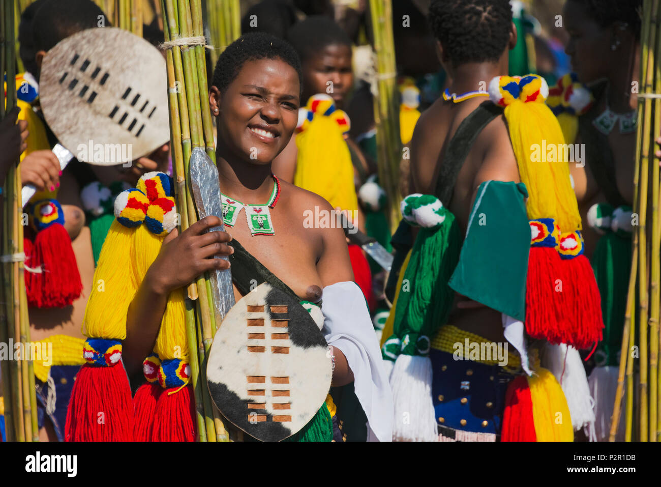 Swazi girls carrying reeds and shield made of animal skin parade at Umhlanga (Reed Dance Festival), Swaziland Stock Photo