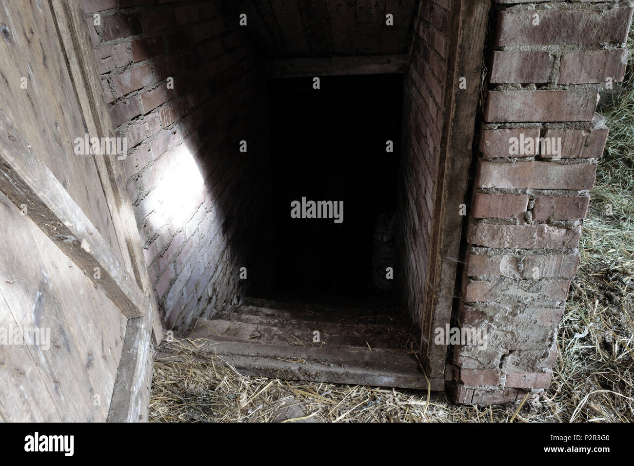 Spooky and scary dark entrance to food basement of barn in countryside Stock Photo