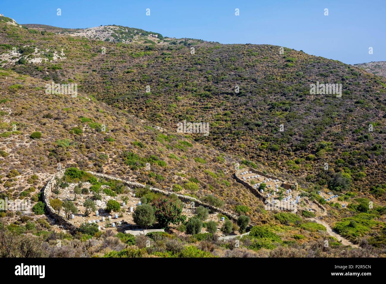 Greece, Fourni Korseon archipelago, Fourni island, apiary producing a delicious thyme honey Stock Photo