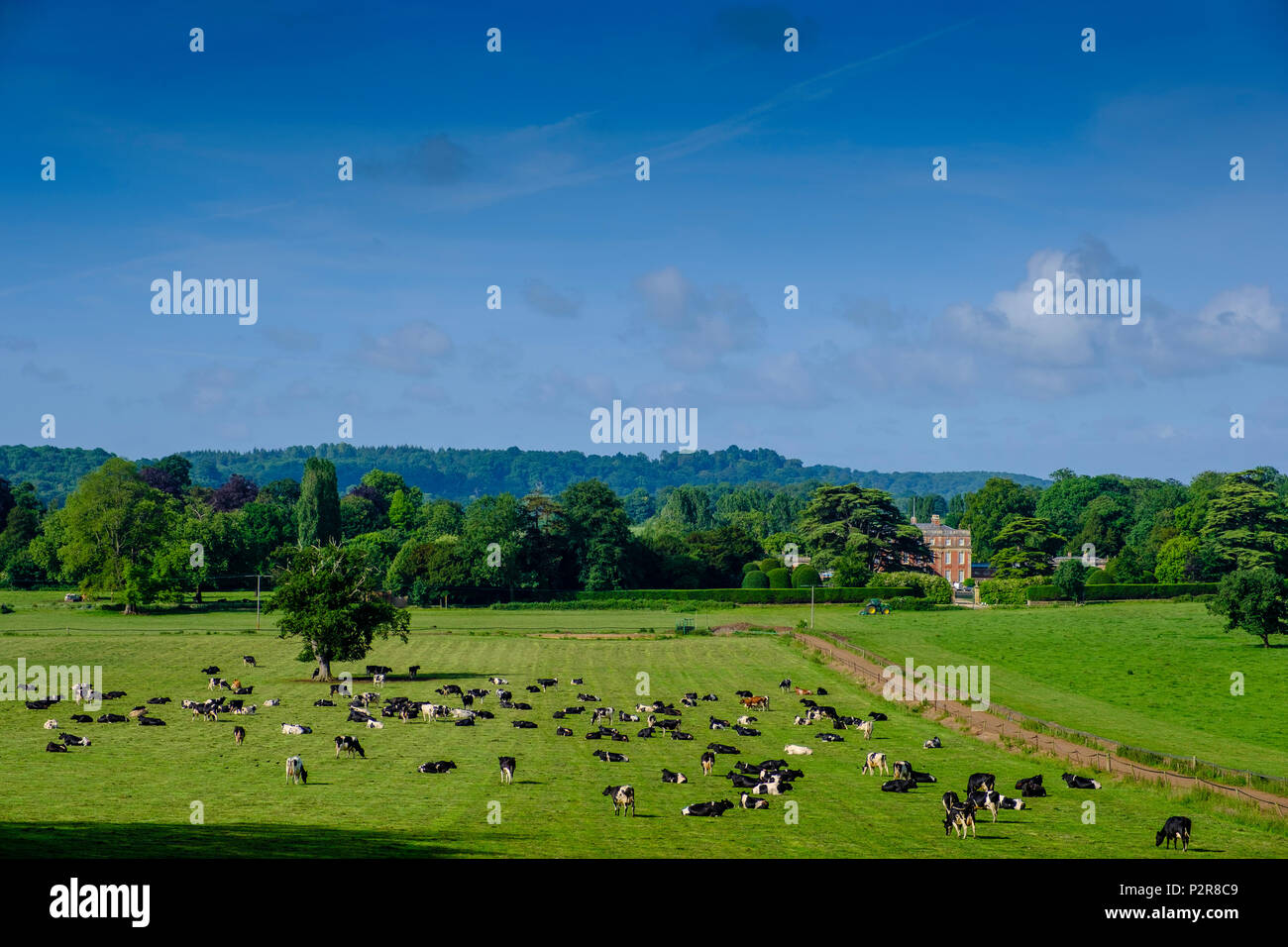 Somerset. 15th Jun, 2018. UK Weather Sunshine over Milborne Port in