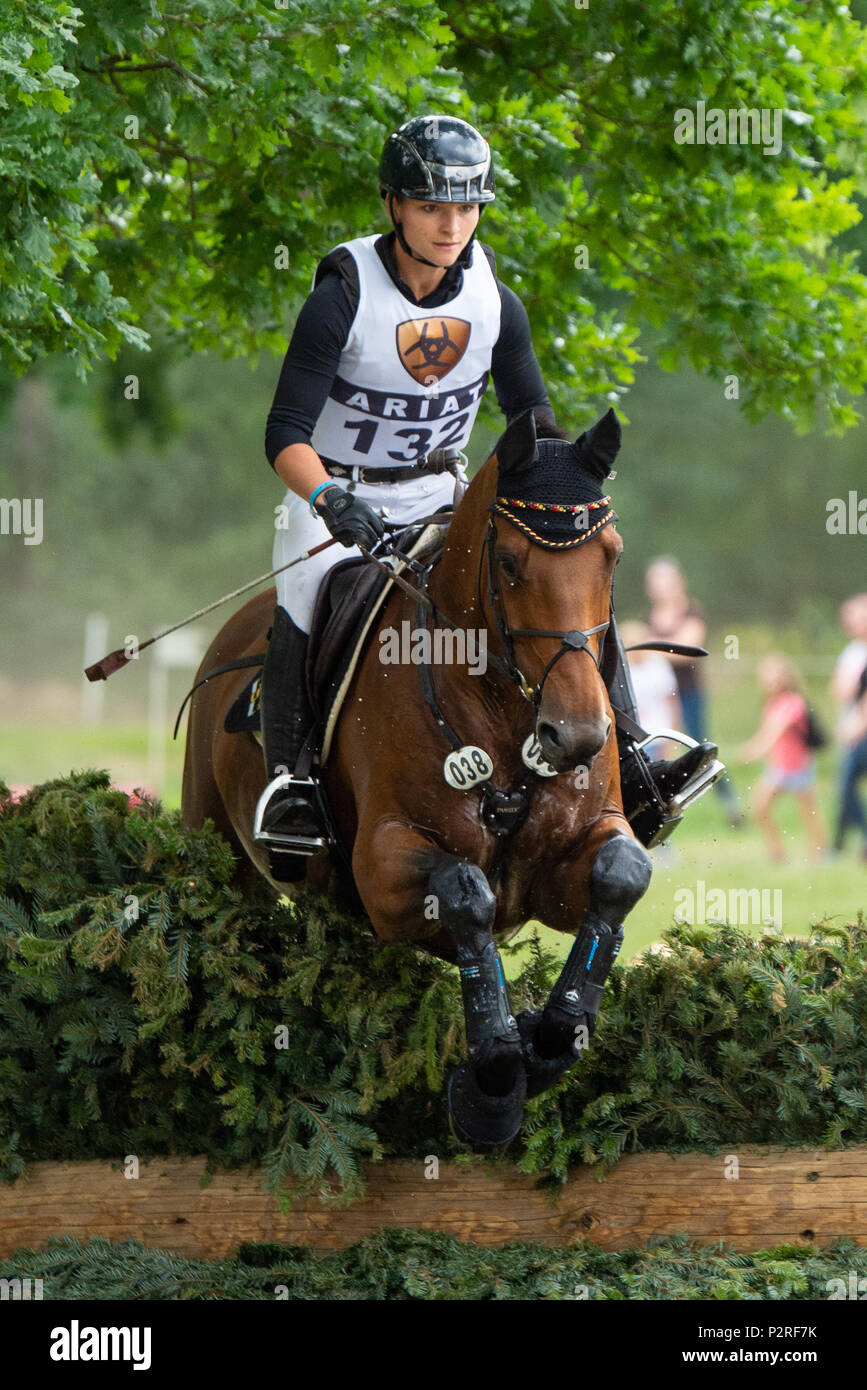 Luhmuehlen, Germany. 16 June 2018, Germany, Luhmuehlen German